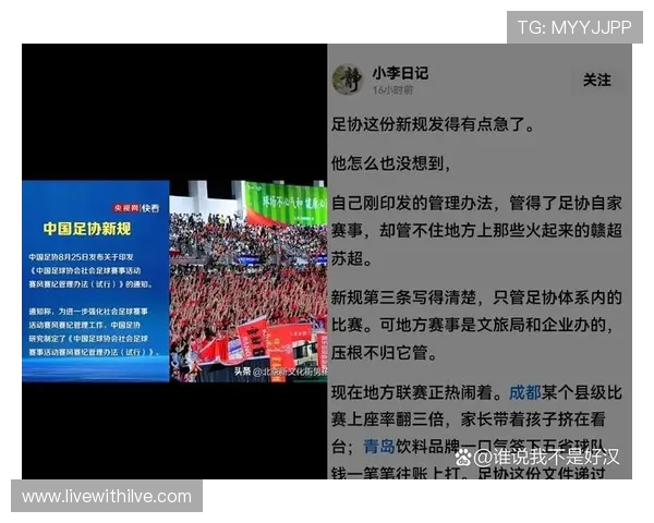 波黑足协呼吁球迷附加赛克制 波黑足协呼吁球迷附加赛克制